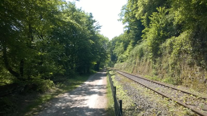 Radweg im Abschnitt der Ruhraue