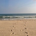 Meine Spuren im Sand zum Meer